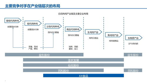 智能驅(qū)動(dòng)，創(chuàng)新增長——XX食品智能制造與銷售維護(hù)一體化發(fā)展報(bào)告